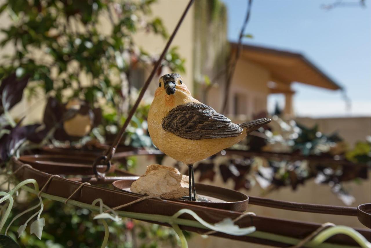 Maso Maroni Agriturismo Quinto di Valpantena Exterior foto