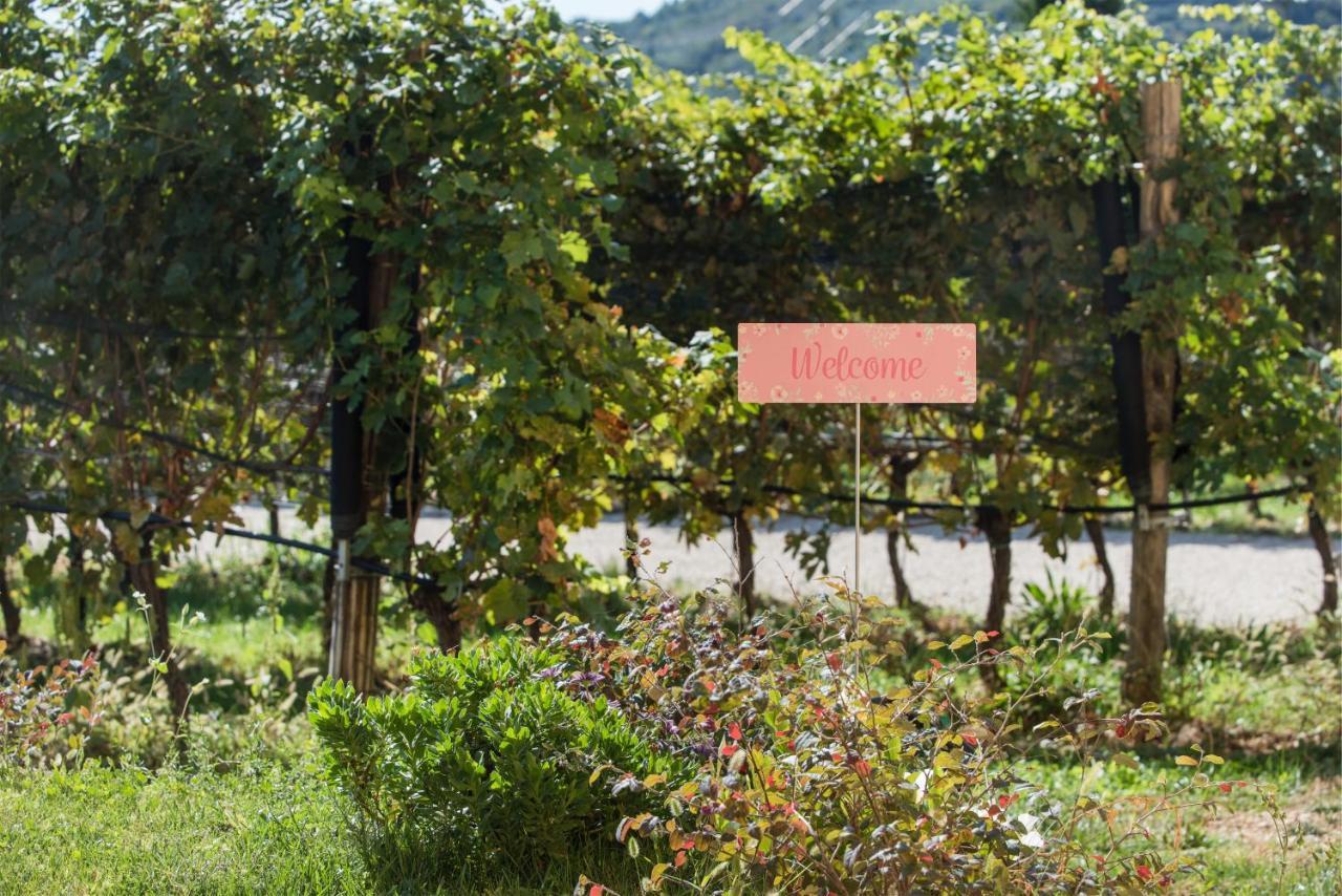 Maso Maroni Agriturismo Quinto di Valpantena Exterior foto